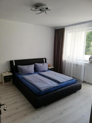 a bedroom with a bed with blue sheets and a window at Apartament Raluca in Topliţa