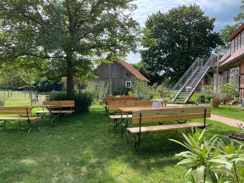 a group of park benches sitting in the grass at Hotel TraumzeitHof in Eschede
