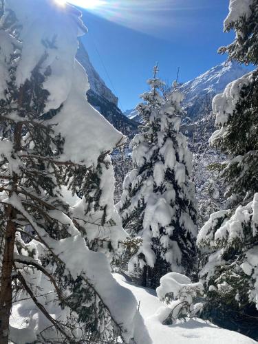 a snow covered tree with a mountain in the background at Hotel L'Edelweiss in Pralognan-la-Vanoise