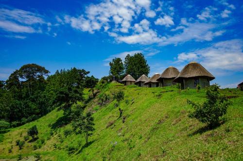 a group of huts on a grassy hill at Lake Nyamirima cottages in Fort Portal