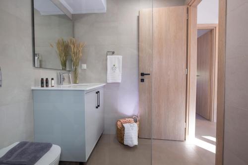 a bathroom with a toilet and a sink and a mirror at Grappolo Lefkada Villas - Vilana ideal for families and small groups in Apolpaina