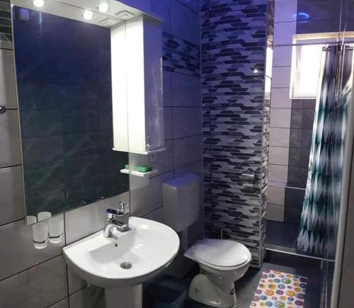 La salle de bains est pourvue d'un lavabo, de toilettes et d'une douche. dans l'établissement Apartman Ivanović 6, à Sokobanja