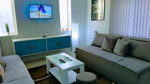 un soggiorno con divano e tavolo di Apartman Ivanović 6 a Soko Banja