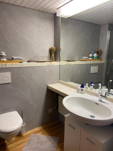 a bathroom with a sink and a toilet and a mirror at Apart Inn Feldstrasse in Winterberg