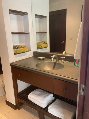 een badkamer met een wastafel en een spiegel bij Residence Nativa Las Vistas, appartement in Tarcoles