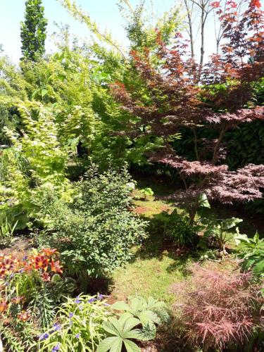 Apartman Igor – Photos 5