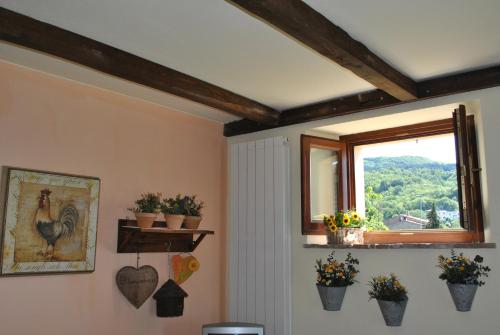 a room with a window and flower pots on the wall at CASADILUPPE in Roccatederighi