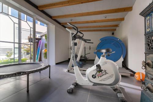 Γυμναστήριο ή/και όργανα γυμναστικής στο Apartment Viktoria