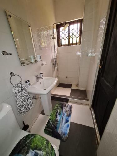 a bathroom with a sink and a toilet and a mirror at NESTA BARRON -Home Away from Home in North Legon