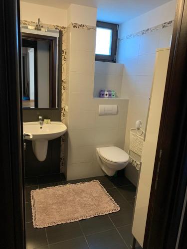 a bathroom with a toilet and a sink at Cioplea View in Predeal