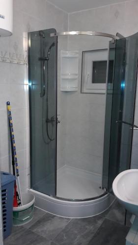 La salle de bains est pourvue d'une douche avec une porte en verre. dans l'établissement Apartment Ana, à Gornji Karin
