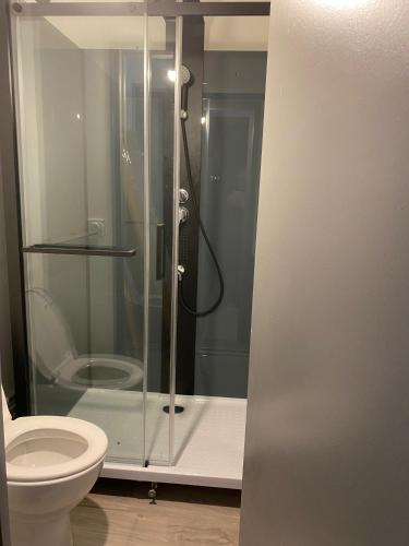une salle de bain avec douche et toilettes dans l'établissement La Tournette, à Annecy