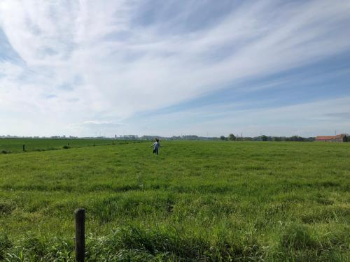 a person standing in a field flying a kite at Villa veld en velo in Bree