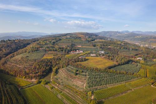 an aerial view of a vineyard in the hills at Agriturismo Ai Dossi in Verona