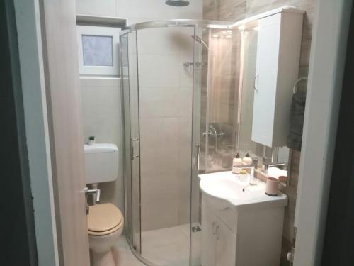 Koupelna v ubytování Apartman Goldy