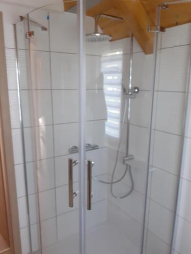 a shower with a glass door in a bathroom at Ferienhaus am Mittelberg in Nordhausen