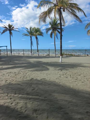 a group of palm trees on a sandy beach at Hotel Mar del Viento in San Bernardo del Viento