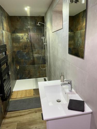 a bathroom with a white sink and a shower at Charmant logement avec balnéo in Wintzenheim