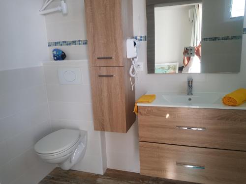 W łazience znajduje się toaleta, umywalka i lustro. w obiekcie GRAND studio VUE MER avec réservoir d'eau w mieście Saint-François