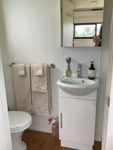 a white bathroom with a toilet and a sink at Tiny Home … BIG Views in Kurrajong