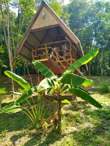 Κήπος έξω από το Treehouse Holidays-Open house