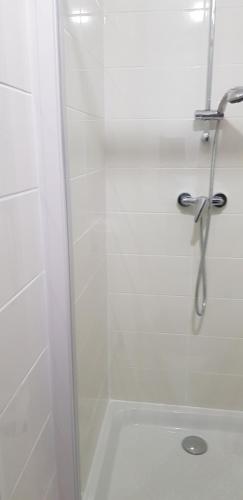 een badkamer met een douche en een glazen deur bij Centre ville Le Blanc Ville Basse in Le Blanc