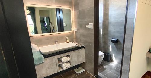 a bathroom with a sink and a mirror and a toilet at 嚨口十二之一民宿Longcall 12-1 in Jinning