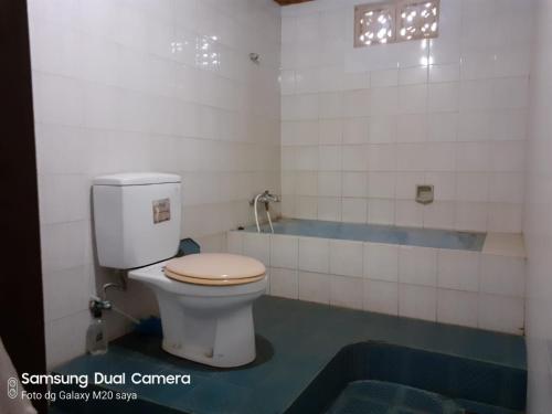 a bathroom with a toilet and a bath tub at Pondok Kecil Bungalow in Ubud