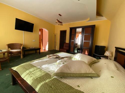 波亞納布拉索夫的住宿－Pensiunea Crocus - Sauna & Billiard，一间卧室配有两张床和一台平面电视