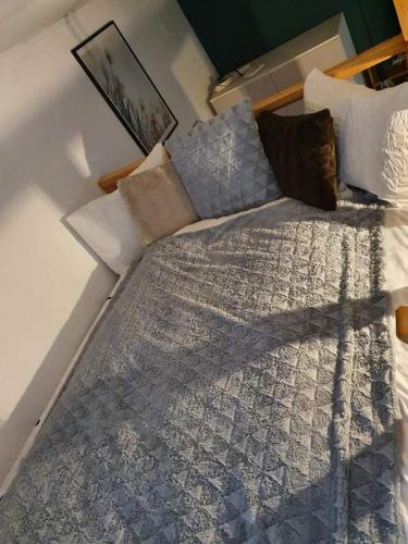a bedroom with a bed with pillows on it at Garden in Satu Mare