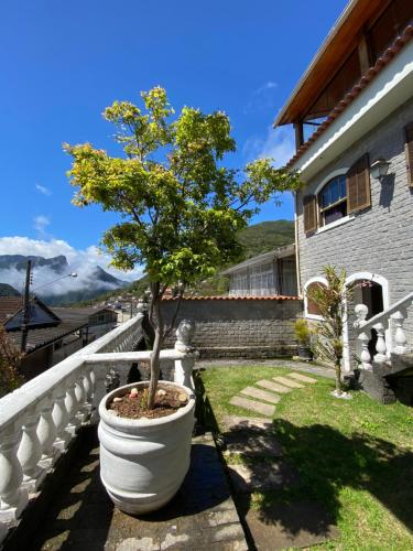 a tree in a large white pot on a balcony at Casa Petrópolis in Petrópolis