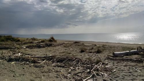 a beach with a bunch of debris on it at Lucas House in Bibbona