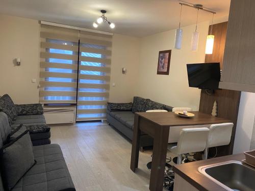 TV a/nebo společenská místnost v ubytování Apartmani u Vili Kopaonik