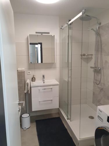 a bathroom with a shower and a sink and a mirror at Businessappartement Nr 2 in Worms