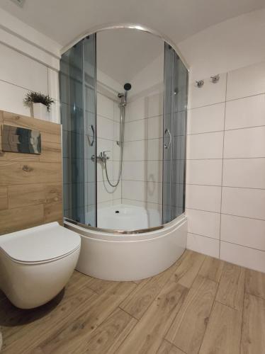 La salle de bains est pourvue d'une baignoire, de toilettes et d'une douche. dans l'établissement Aura, à Lewin Kłodzki
