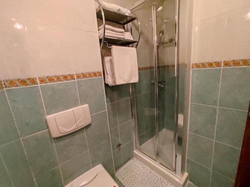 a bathroom with a shower and a toilet at Villa Aleksandra - T in Rafailovici