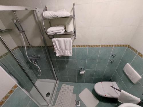 a bathroom with a shower and a toilet at Villa Aleksandra - T in Rafailovici