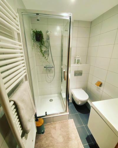 une salle de bain avec douche et toilettes dans l'établissement La Silberrunz, à Colmar