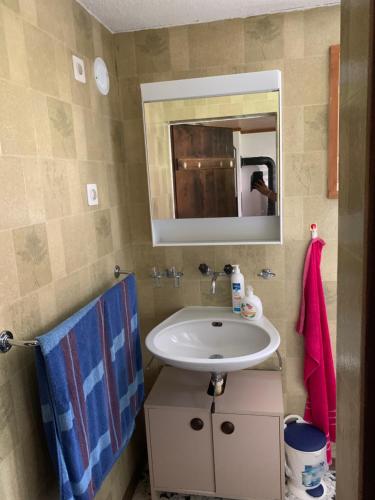 y baño con lavabo y espejo. en Naturnahe Wohnung für 1 - 4 Personen, en Brienz
