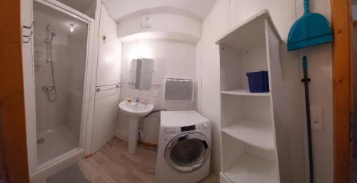 a bathroom with a washing machine and a sink at Le Rhodo in Thollon