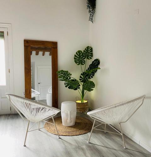 two chairs and a plant in a room with a mirror at La Moneda Home Spa in Cuenca
