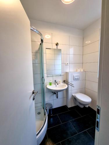 a bathroom with a sink and a toilet and a shower at Hostel Dharma in Rijeka
