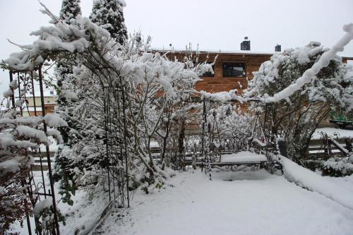 Maisalm, Apt 4 im Winter
