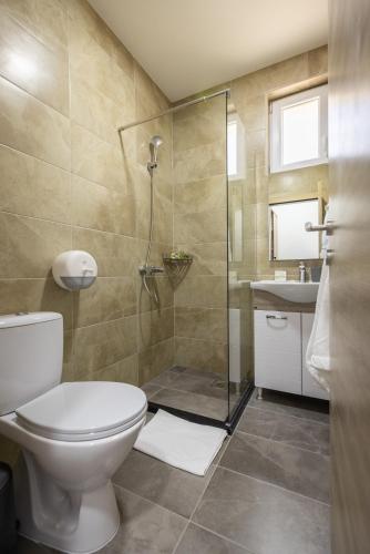 a bathroom with a toilet and a shower at Vila Greta by Hotel Ramonda in Rtanj