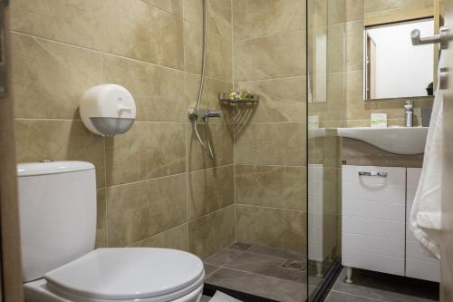 a bathroom with a toilet and a sink at Vila Greta by Hotel Ramonda in Rtanj