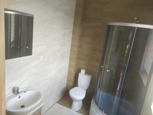La salle de bains est pourvue de toilettes, d'une douche et d'un lavabo. dans l'établissement Przy Trójstyku, à Dubeninki