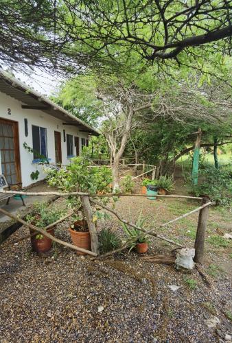 a garden with plants in pots in front of a house at Galerazambahostal in Galerazamba