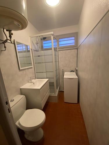 une salle de bain avec toilettes, lavabo et miroir dans l'établissement T3 PLEIN PIED FRONT DE MER, au Barcarès