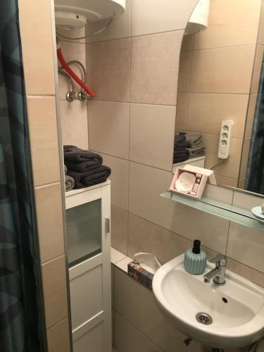 A bathroom at Menta apartman