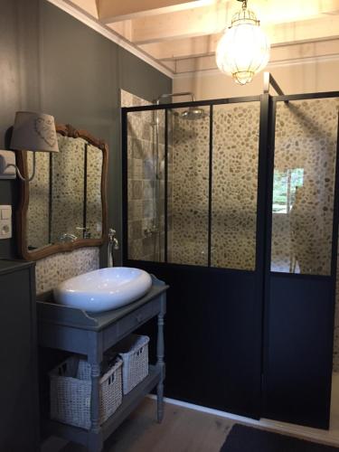 a bathroom with a sink and a shower with a mirror at Le Clos de Jabanelle in Ciney